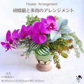 【 1点もの 】 胡蝶蘭と多肉植物のアレンジメント 高級感 造花 陶器 敬老の日 玄関インテリア お洒落 おしゃれ 送料無料 グリーン 豪華 華やか モダン 素敵 ピンク インテリア 蘭 ショップインテリア 玄関 お祝い プレゼント 枯れない花 ギフト CT触媒 上質 こちょうらん 父