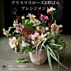  CeA t[AWg sN 蕨 NX}X[Y ΂ 傫 AWg CTG}H   փCeA    ؂₩ Ce