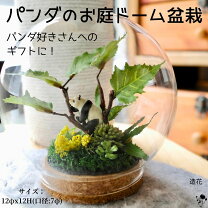 楽天市場】ミニチュア ガラスドームの通販