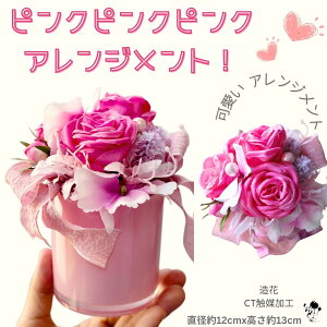 y zCgf[ zAWg  o^Cf[  sN t[AW o { p[ nbs[Mtg v[g  sN ybĝ փCe