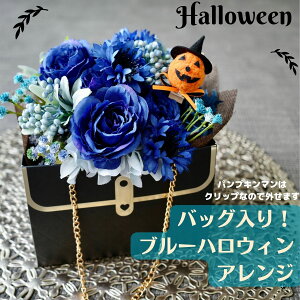 nEB  Ԃ͂C AWg IVȃobO u[ nEBAWg   킢 IV  pvL} J{`  tFCN Ce