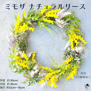 �y �󒍌㐧�쏤�i �z�~���U�i�`���������[�X ���ԍޕύX�̉\������ �O�a��50cm ������ ���[�X ���� �t �h�A���[�X ���� �݂��� �A�J�V�A �������� �Ǐ��� �i�`������ ���� ���� �C���e��