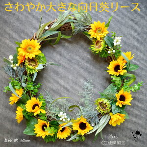 Ђ܂ [X a60cm Ђ܂̑傫ȃ[X hA[X q} փCeA Ǐ   C      CeA  Vv j v[