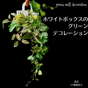 tFCNO[ Ǌ| O[fR[V O[ Ǐ  Vv RpNg ₷ O[lbNX `WA i` CeA Ǌ|   