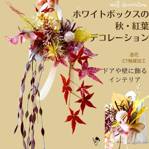 H gt Ǐ tFCNO[ ݂ Ǌ| EH[fR[V  Vv 悤 RpNg ₷  F uE i` CeA Ǌ| Ǐ 