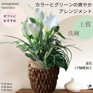 O[ J[ ㎿ ԃAW tFCNO[ AWg i` VbN  蕨 Vv z  Lb փCeA CTG} CeA  Mtg ϗtA 