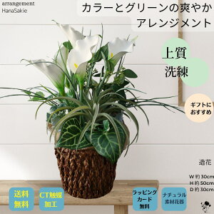 ԃAW O[ J[ ㎿ i tFCNO[ AWg i` J[[  蕨 Vv z փCeA CTG} CeA  Mtg ϗt