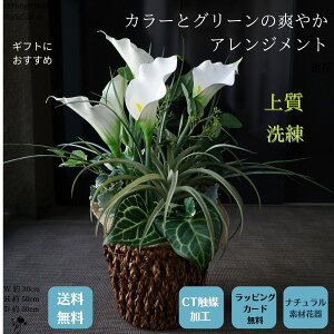 tFCNO[ J[ ԃAW O[ ㎿ i AWg i` J[[  蕨 Vv z փCeA CTG} CeA  Mtg ϗt