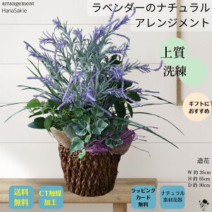 tFCNO[ x_[ ԃAW O[ ㎿ i AWg i`  蕨 Vv փCeA CTG} CeA  Mtg ϗtA A[gt