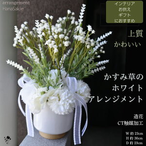 ㎿ ԃAW ݑ AWg    蕨  ~ ފ i` Vv փCeA CTG} CeA  Mtg AWgt