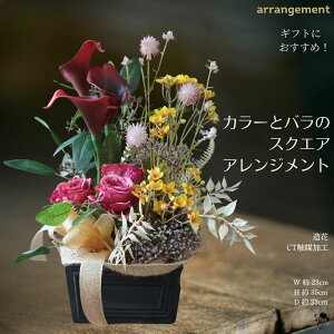 y Mtgɂ zH J[ o IV ԃAWg gt t[AW A[gt[ AW  փCeA t[CeA  G u  