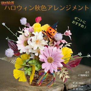 y nEB zH AWg ڂ pvL  nbs[nEB f[W[ tFCN  CeA u    G Mtg v[g ԃAW 