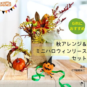 HAW & ~jnEB[X Zbg  CTG}H Mtg nEB CeA HF  蕨   v[g ԃAW AWg ڂ pvL 