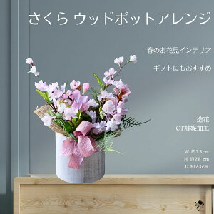 y tMtg z Ebh|bgAW  A[gt[ AW  zCgf[ o^Cf[  t CeA  u  i` AWg Mtg 