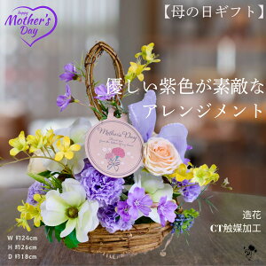 y Sɑ z ̓Mtg  ԃAW ̓ A[gt[  F  x_[  AW CeA D \tgJ[ pXe tFCNt[  