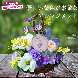 y ̓Mtg zԃAW A[gt[ AW  F  x_[ I[V[Y CeA D \tgJ[ pXe tFCNt[  u ㎿ 