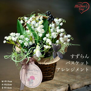 ԃAW A[gt[ AW XY   闖 CeA Vv RpNg tFCNt[ u ㎿ AWg Mtg v[g ͂Ȃ CTG}