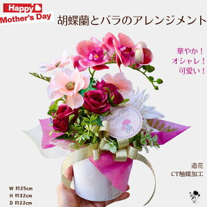 y Mtg  zԃAW A[gt[ AW Ӓ o _A  I[V[Y CeA ؂₩  A IW tFCNt[ u ㎿ AW