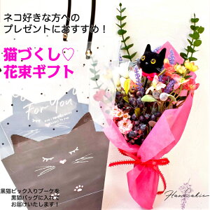 ԑ  L Mtg u[P LDȕ hV̓ LÂ ԑMtg u[P obO ԉԑ C 킢 ˂ L lR cat v[g a  LD  t[A