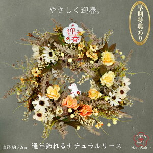 T ߔNtt }t[X ߔN   [X a32cm ʔN a_ i` T ߔNtt  Ǐ CeA  J^ o f[W[ 