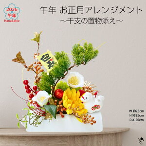 ���x�̒u���t���I 2026�N �ߔN�A�����W �������A�����W�����g �ߔN ���_�� ���������� �A�����W�����g �u�� ���x ������ �a���_�� �a �a�� ���� ���������� �n �e �� �� �������� ���� ���� ��