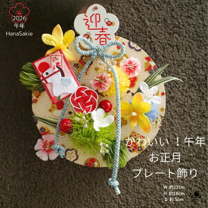 ���₩ �������}�t���� �ߔN �}�t�v���[�g���� ���x���邽�t�� ���g�� �a���_�� �������֏��� ���������� �Ǌ|�� ���֏��� ���� ���킢�� ���� 2026�N HanaSakie���������� ���x ���� �}�� �� �s