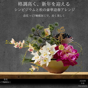 y}tE߁i܁jtzt܂ŏ ؃VrWEAW^ ցEtEX܂ɂ HanaSakie 