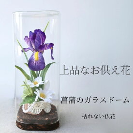 ガラスドーム 仏花 菖蒲 ミニ お供え花 枯れない 花 ミニ仏壇用 コンパクト お供え フラワー 仏壇 花 お悔やみ 手元供養 新盆 初盆 法要 仏用ギフト対応