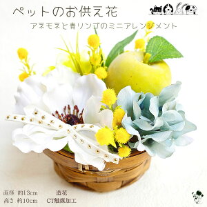 S! Allƃ~Ũ~jAWg  CeA  v[g 蕨 u G Mtg  t[lt[ yY ƂMtg  V