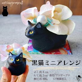 【楽天ランキング入賞】 ペット供養 くろ猫 ミニアレンジ 造花 ねこ 黒猫 造花アレンジ 花 ペットのお供え フューネラルフラワー ネコ好きな方へのギフト 猫 送料無料 ネコ 猫の置物 胡蝶蘭 雑貨 飾り CT触媒加工 プリザーブドフラワー 仏壇 ペット仏壇 仏壇花 お彼岸