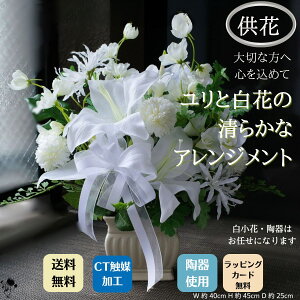 ~  AW dp  S AWg JTuJ  ԃAWg ȊÔԂ͂C t[l } e  d sv Ԃ炸 Mtg  u