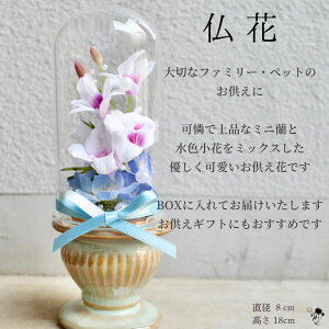 y SȂꂽEybgւ݂̂ z  KXh[   ~j F  i ybg{  RpNg KXh[t[    t[l