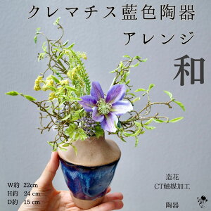 ãCeA  ~j t[AW N}`X F  A[gt[ AW AWg CeA a 蕨 v[g  t[lt[ ebZ 