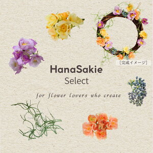 փ[Xp ԍރZbg  ~jo3F O[  HanaSakie Select vF킹ԍރZbg ԍނ̂ݔ̔ Rɐ\ i` Â CeAp փCeA f