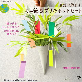 【 七夕飾り 】 笹の葉 ブリキポット セット 短冊 10枚付き キット 笹 フェイク 願い事が書ける 七夕飾り 壁飾り 造花 フェイク 飾り インテリア 子供 日本行事 季節 7月7日 たなばた 天の川 かわいい 送料無料 雑貨 ブリキ 軽量 軽い ドア飾り 掛け飾り カジュアル