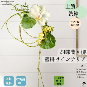 CeA Ӓ RpNg y IV a_ a  _ F [X hA փCeA ԃ[X ㎿    hA[X Ǐ Mtg   