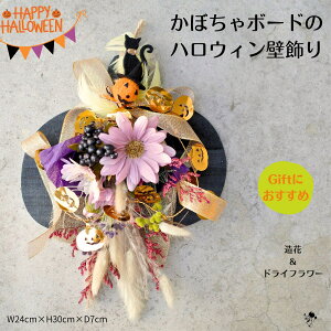 y o znEB ڂ{[h Ǐ L pvL f[W[ OX hCt[  H CeA  rO  Mtg v[g  킢 nE