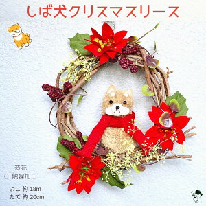 mc1_nNX}X [X Ǐ hA hA[X NX}XMtg   Č Xmas Ό |CZ`A NX}X[X  փCeA Ό Vo    