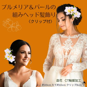 EFfBO ԉ  g݃wbh  vA p[c CO nCEFfBO  ANZT[ l  wAAW Ԕ CO EFfBO OB ԉ 