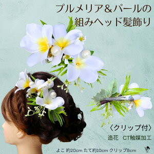 vA wAANZT[   g݃wbh EFfBO wART[W  ԉ  CO nC 썑  ANZT[ l  wAAW Ԕ 