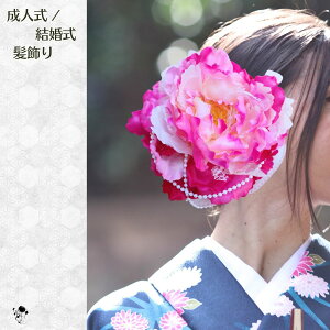 ԉ l   wbhhX sIj[ 䉖 sN 傫  aԉ  EFfBO wbh  wA l OB tHgEFfBO wAANZT[ 