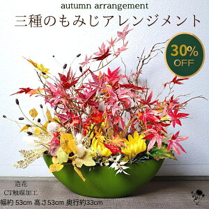 ySSԌ30OFFz t[AWg a H gt ݂  傫 AWg HF ~W ԃAWg ؂₩  CeA  u G ItBXCe