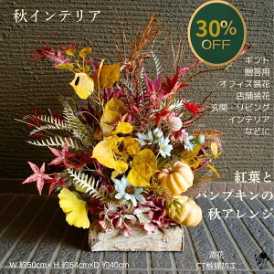 ySSԌ30OFFz t[AWg H ^  A[gt[ ݂ pvL  ؂₩ 傫 AWg ԃAW p CeA   u 