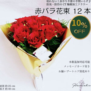 ԃo ԑ 12{ Mtg v|[Y v[g   tFCNt[ a LO  TvCY ̓ e p[eB[ ؂₩ bsO ͂Ȃ CTG} o