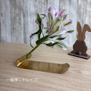 ^J ֑} gCt  FႢ t[x[X  ^JG CeAG Vv  G ȍK uX  rO fXN gC Q ͂ȂH