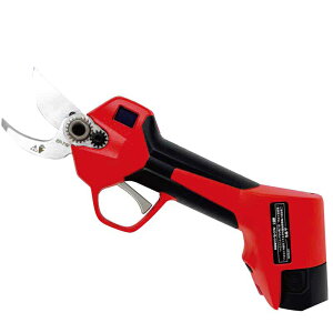 XSZCg@ؒfڈ25mm@EP-719@[d