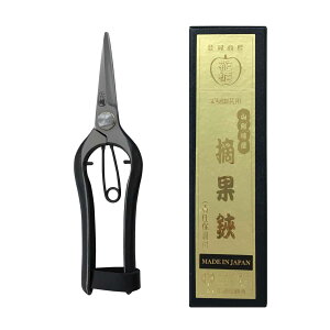 ԏ|󕽌^n  { R` ł  ԏ| n