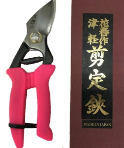 ԏt왒VRObv  { R` ł ԏt VRObv