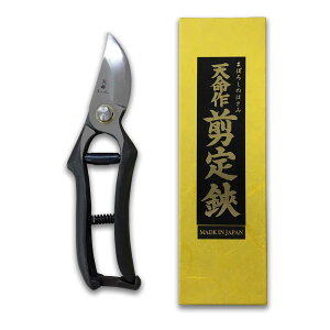 VX[p[HR^8D  { R` ł V