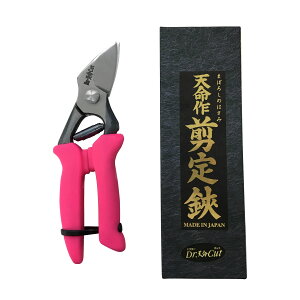 V왒L^VRObvKV[Y(p)  { R` ł V VRObv